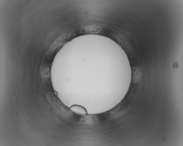 X0000110700713200907101221