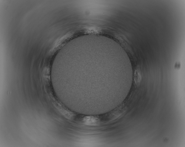 X0000110700714200907101221