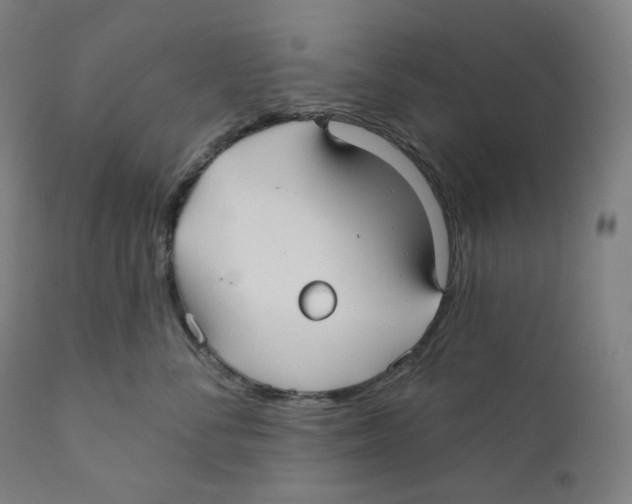 X0000110700716200907101221