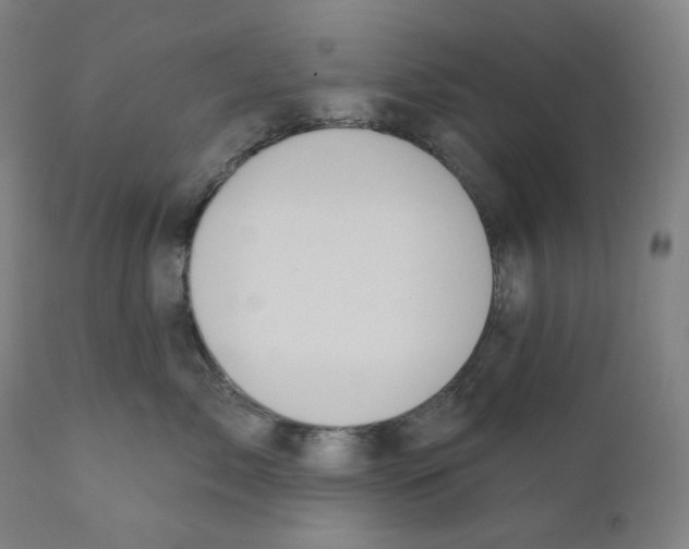 X0000110700717200907101221