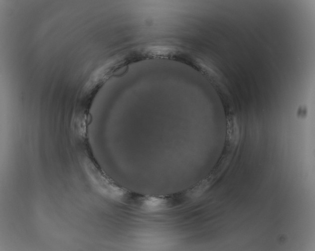 X0000110700718200907101221
