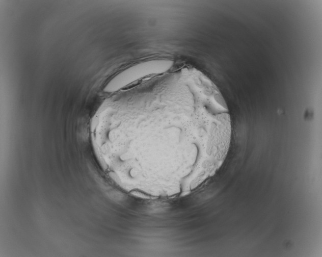 X0000110700719200907101221