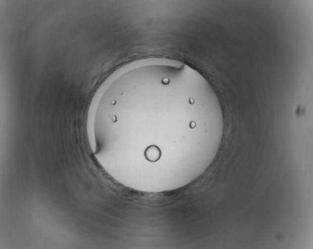 X0000110700720200907101221