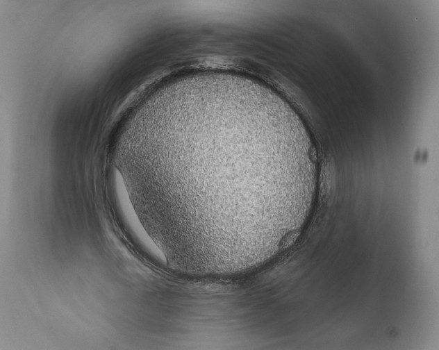 X0000110700722200907101220