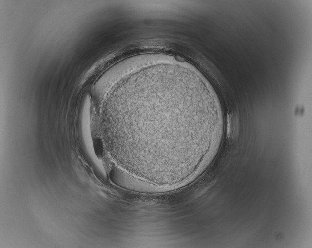 X0000110700723200907101220