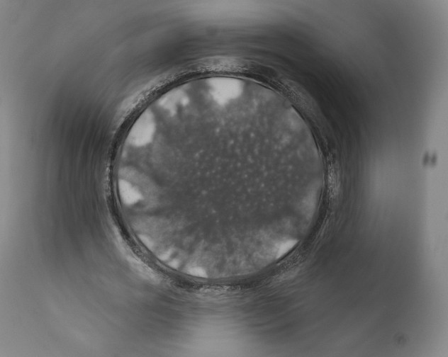 X0000110700725200907101220