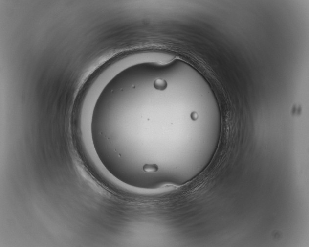 X0000110700726200907101220