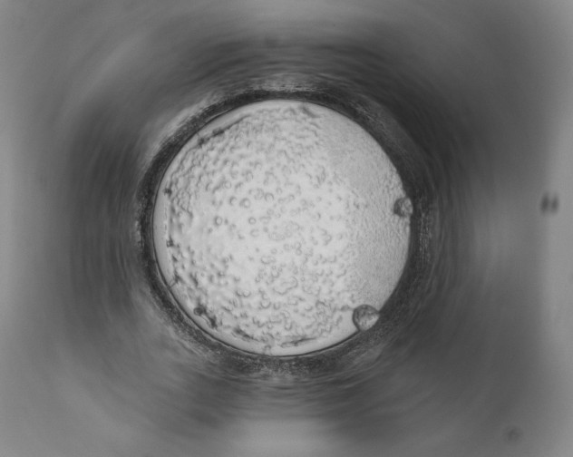 X0000110700727200907101220