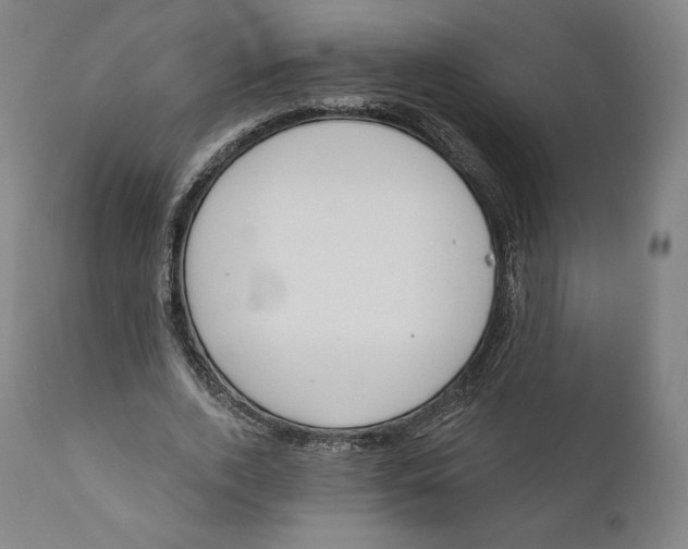 X0000110700728200907101220