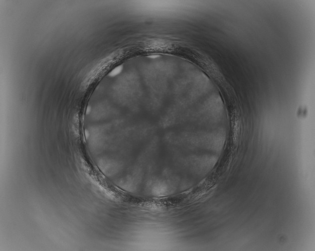 X0000110700729200907101220