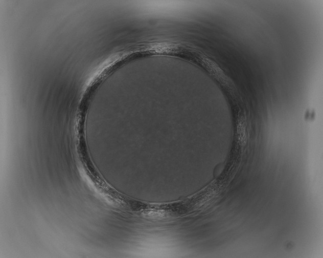 X0000110700730200907101220