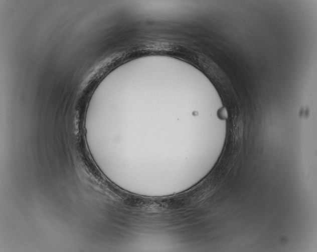X0000110700731200907101220