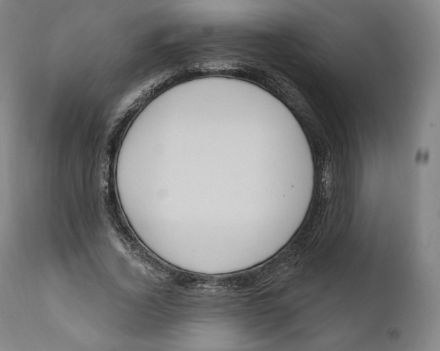 X0000110700732200907101220