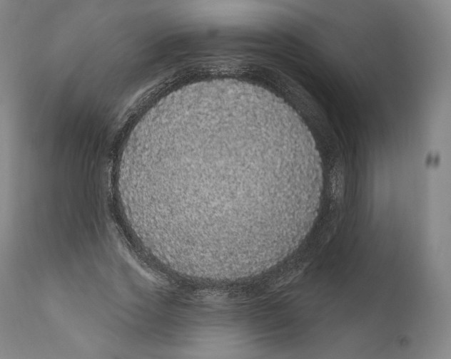 X0000110700733200907101220