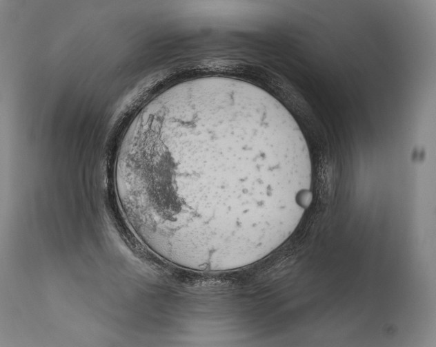 X0000110700734200907101220