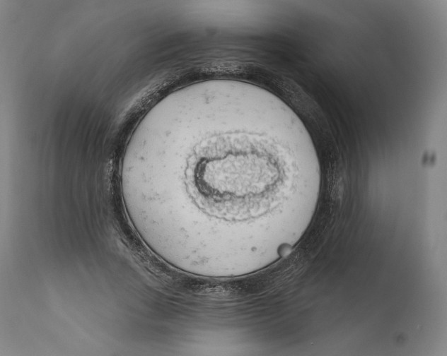 X0000110700735200907101220