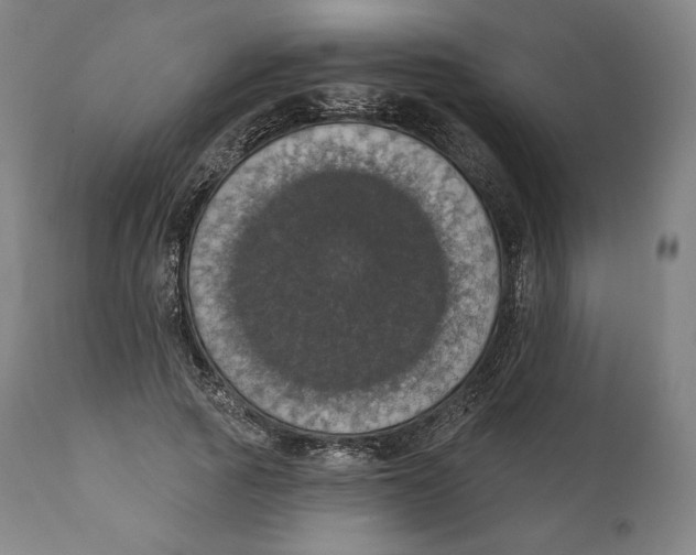 X0000110700737200907101220