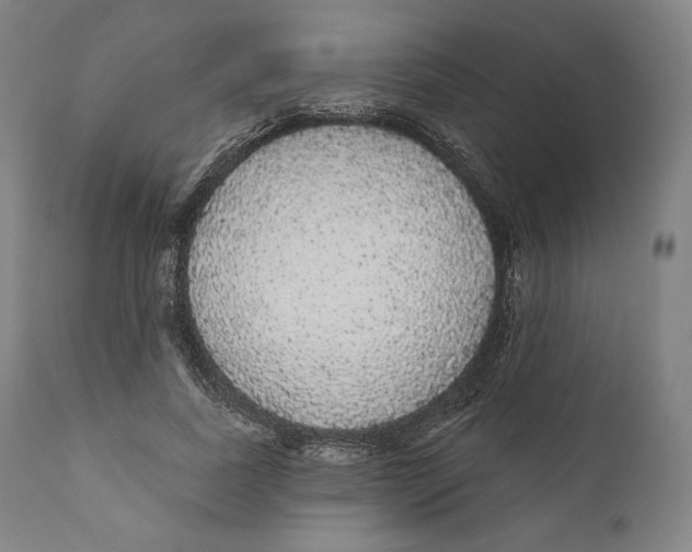 X0000110700739200907101220