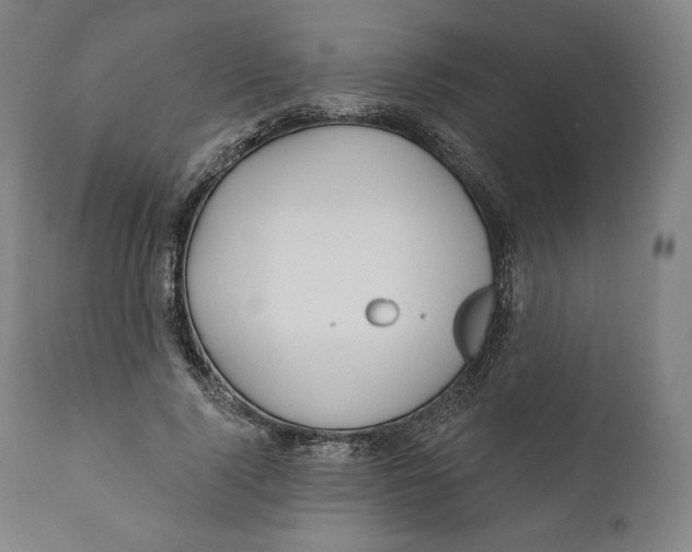 X0000110700740200907101220