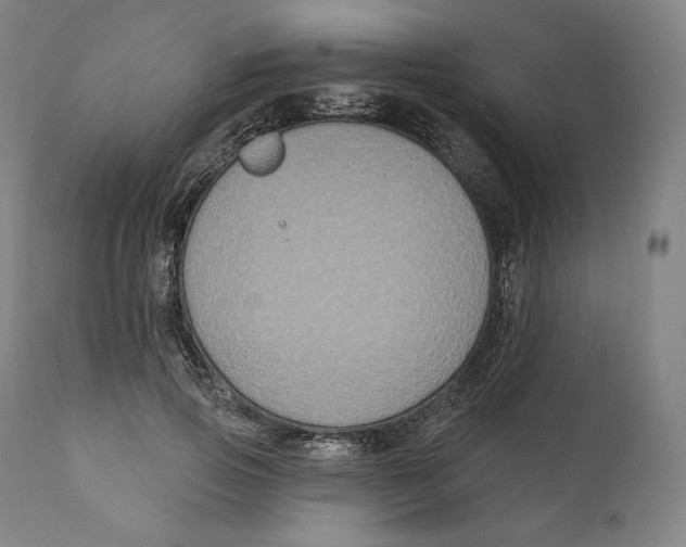 X0000110700741200907101220