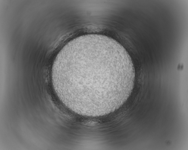 X0000110700743200907101220