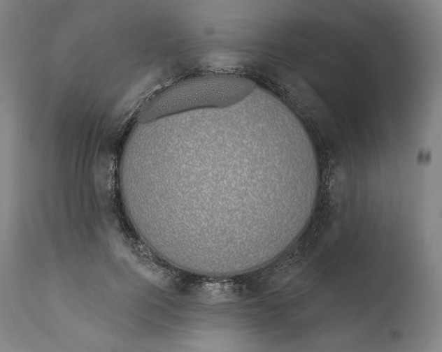 X0000110700744200907101220