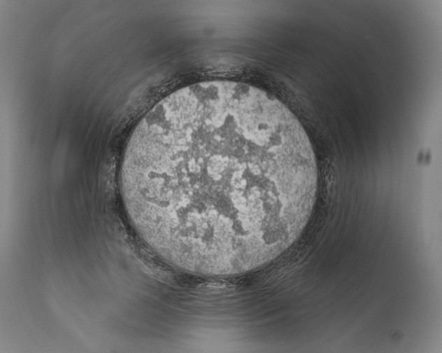 X0000110700745200907101220