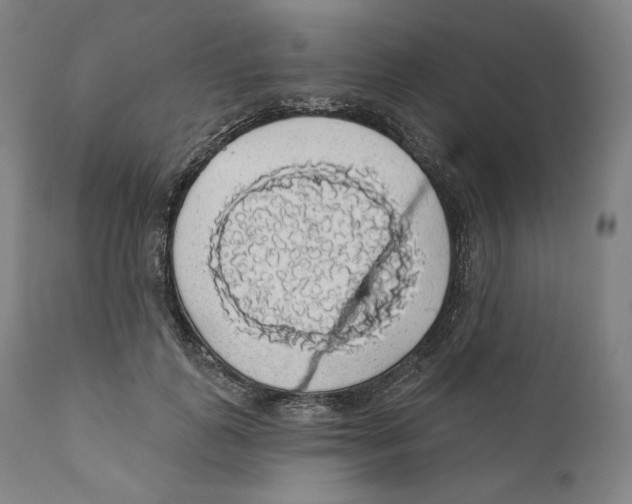 X0000110700747200907101220