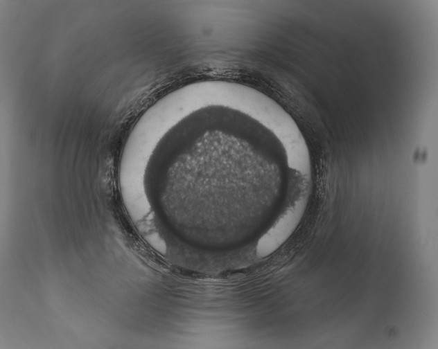 X0000110700748200907101220