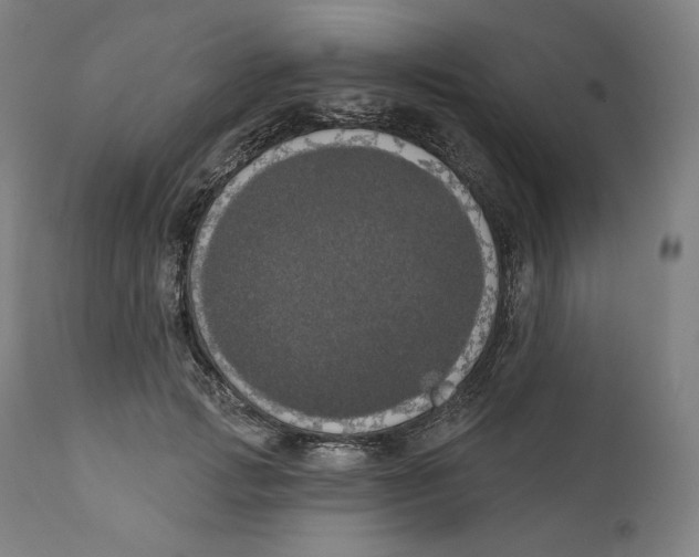 X0000110700749200907101221