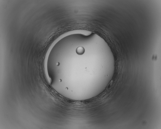 X0000110700750200907101221