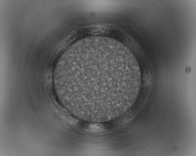 X0000110700753200907101221