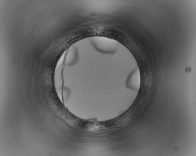 X0000110700754200907101221