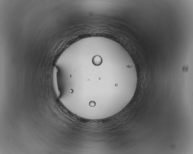 X0000110700756200907101221