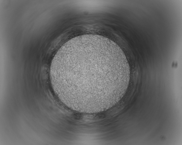 X0000110700757200907101221