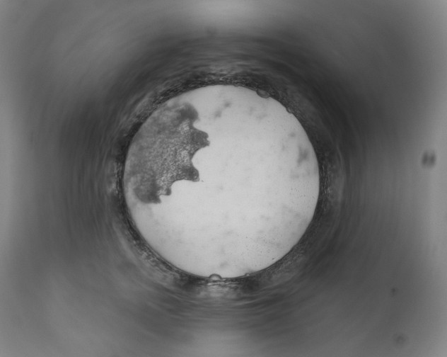 X0000110700758200907101221