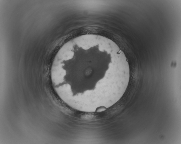 X0000110700759200907101221