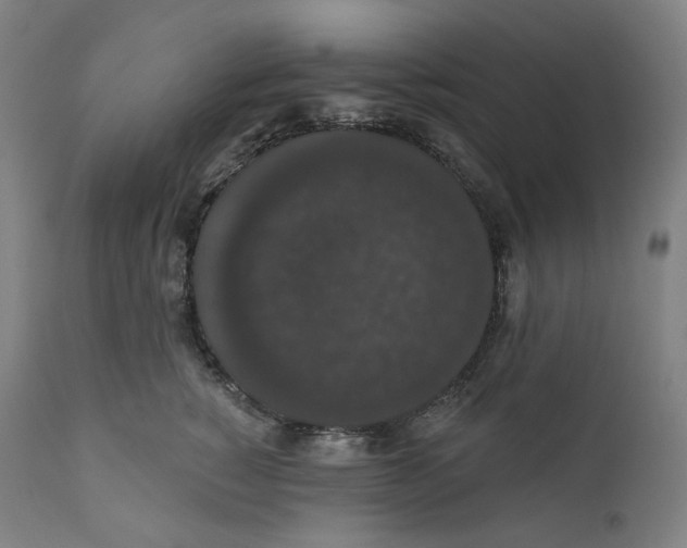 X0000110700760200907101221