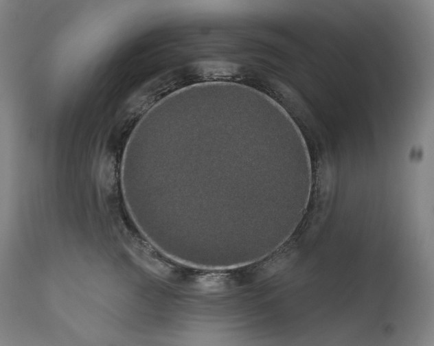 X0000110700761200907101221