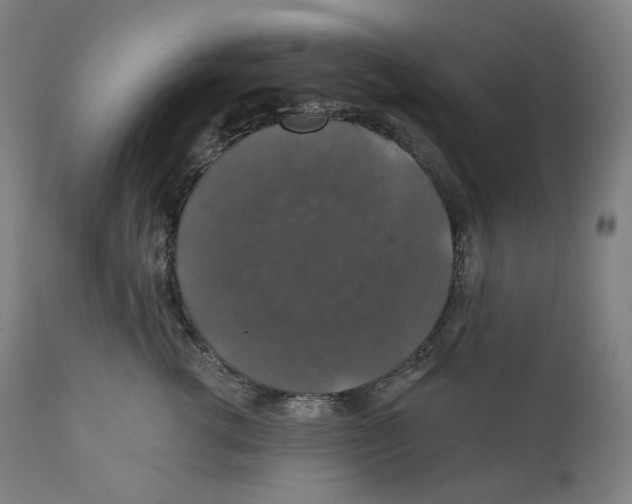 X0000110700762200907101221