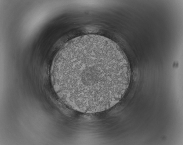 X0000110700763200907101221