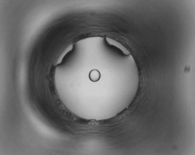 X0000110700764200907101221