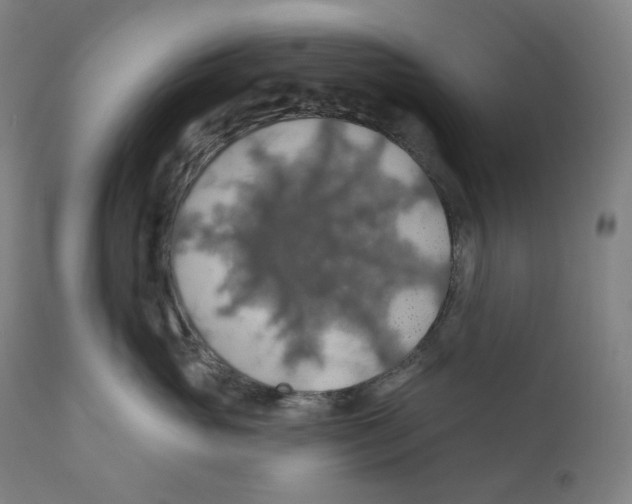 X0000110700765200907101221