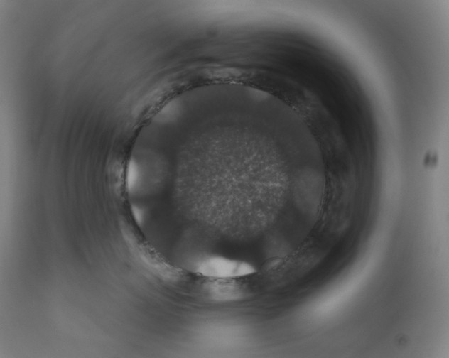 X0000110700767200907101221