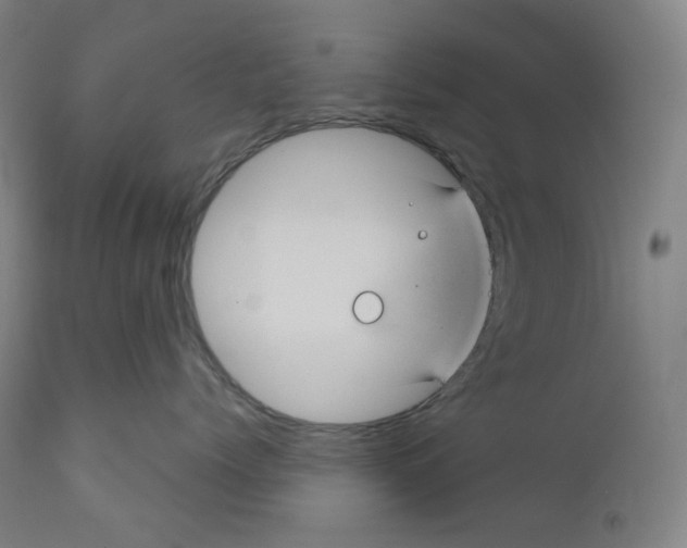 X0000110700768200907101221