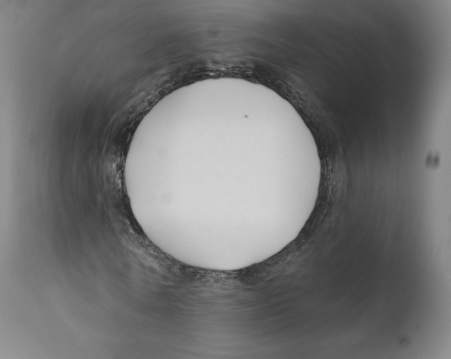 X0000110700770200907101220