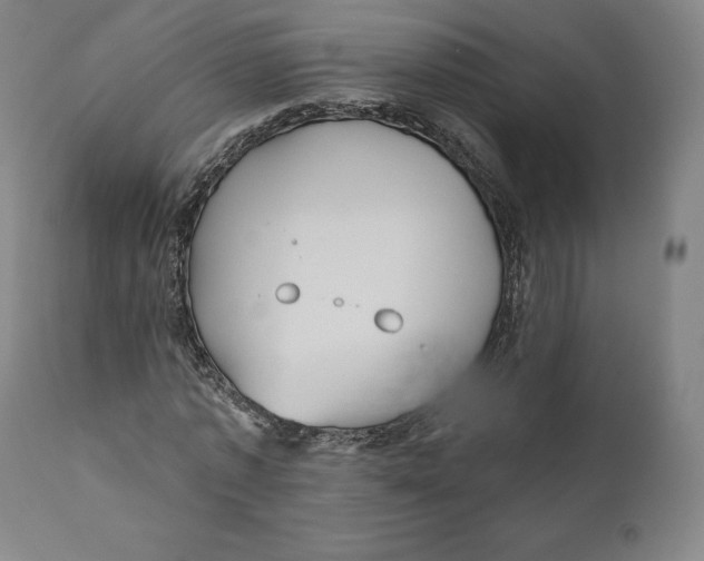 X0000110700773200907101220