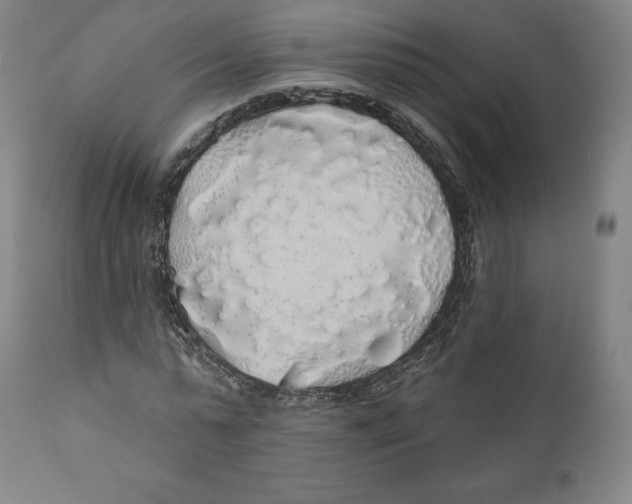 X0000110700775200907101220
