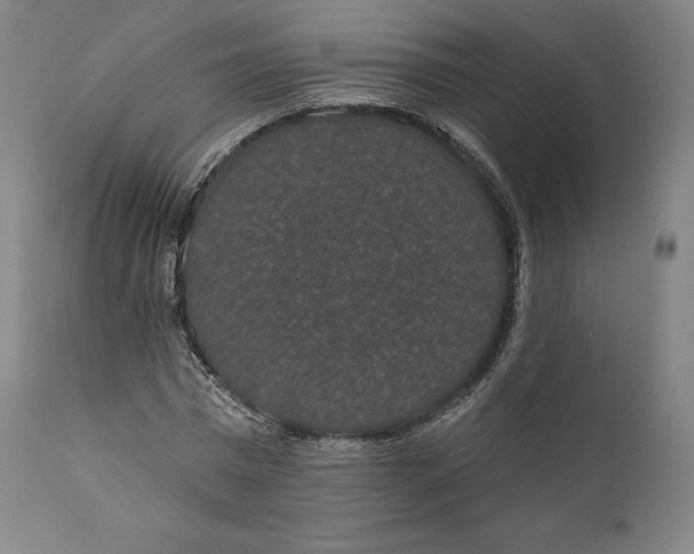 X0000110700777200907101220
