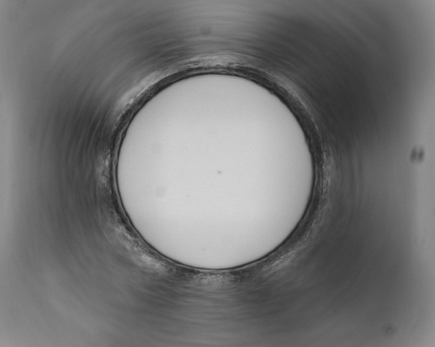 X0000110700778200907101220